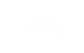 Selin Elektronik